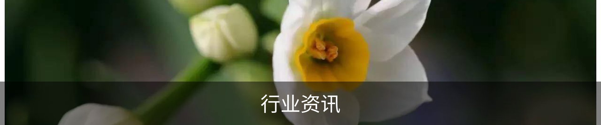 行业资讯